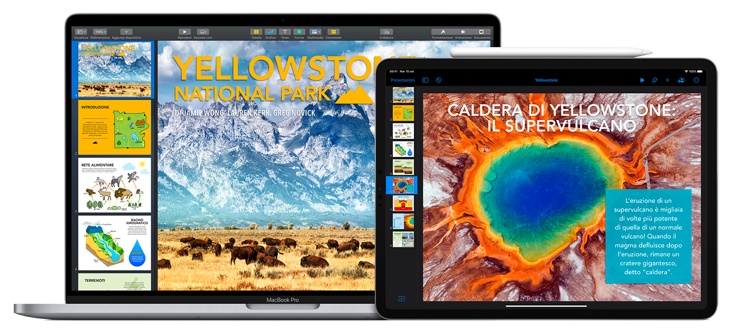 MultiEDU
